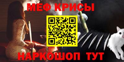 гашик Моздок