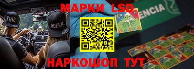 гашик Моздок
