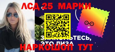 гашик Моздок