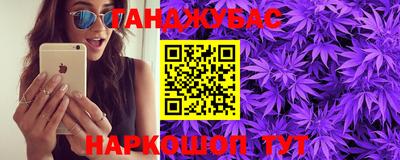 гашик Моздок