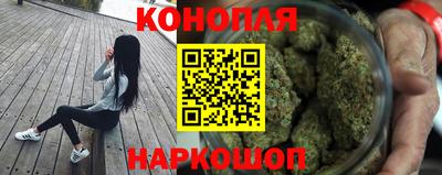 гашик Моздок