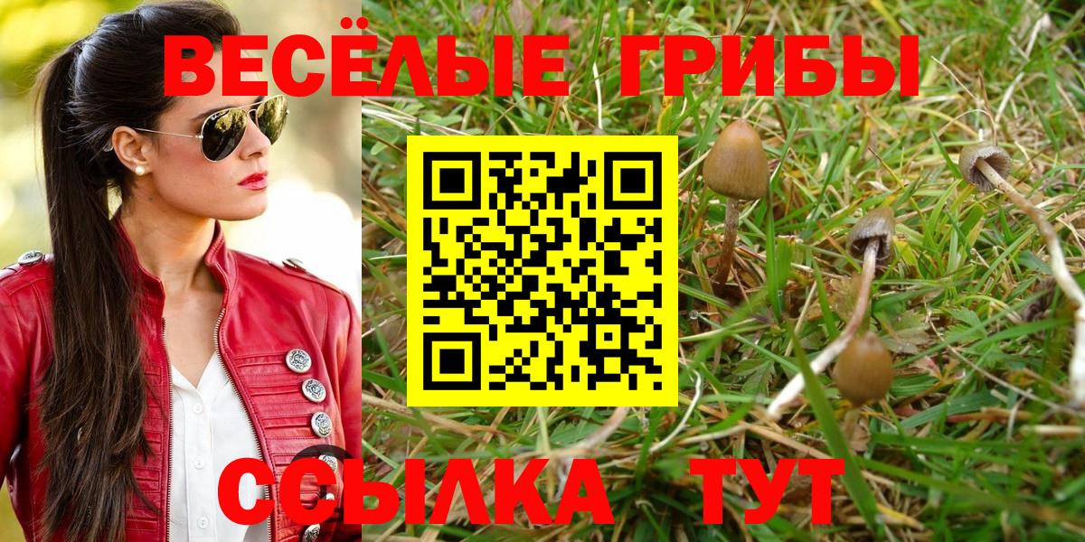 Галлюциногенные грибы GOLDEN TEACHER  Владикавказ 